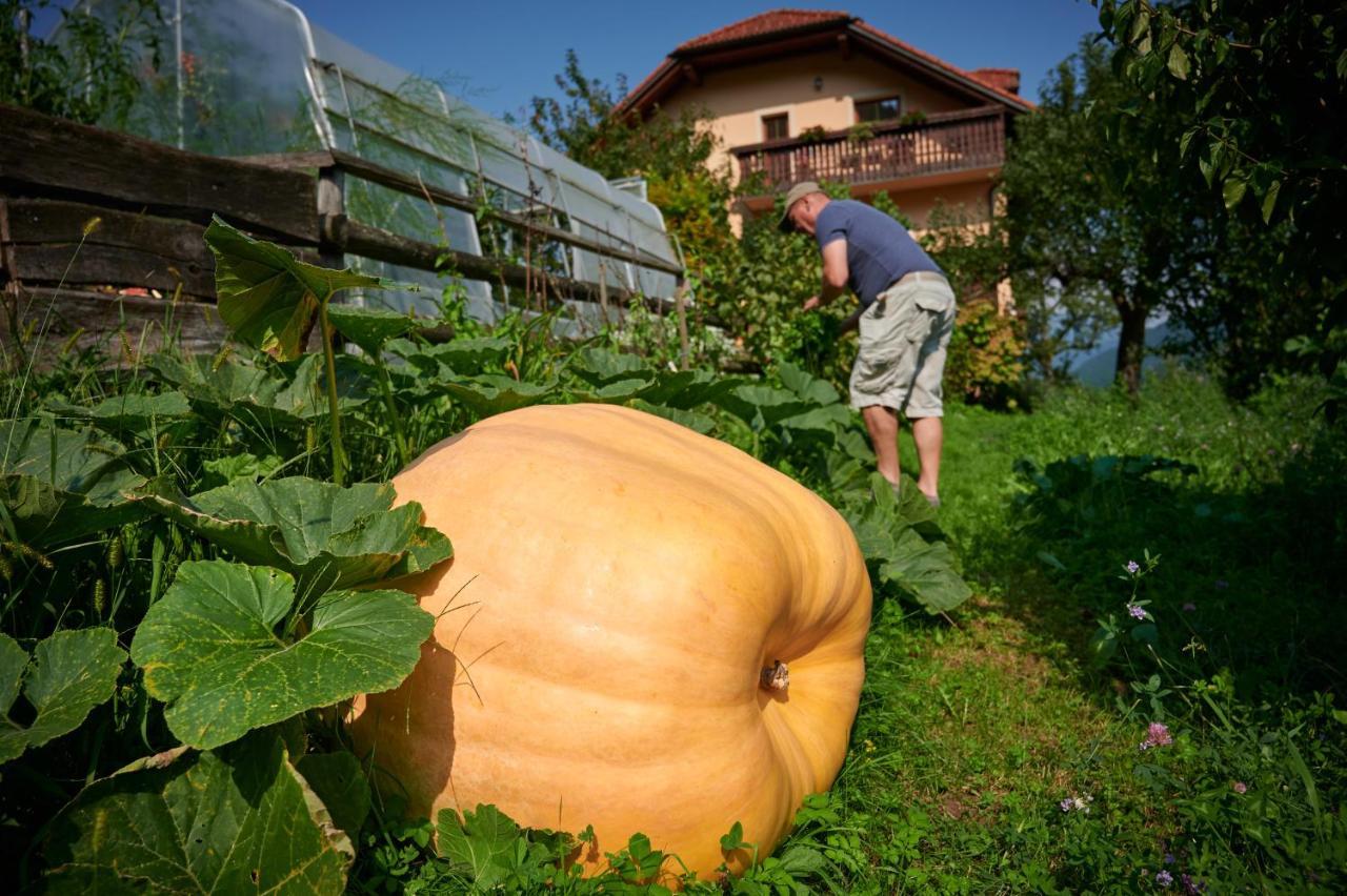 Tourist Farm Kolar Villa Ljubno Exterior foto